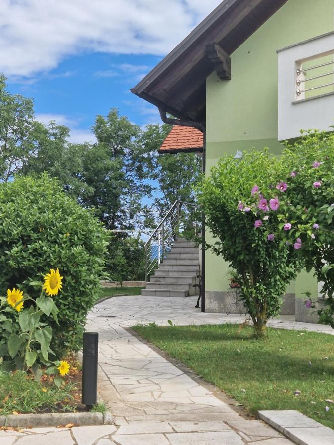 Green House Apartment ピフカ エクステリア 写真